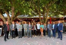 Universitario en Materia Tributaria 2023