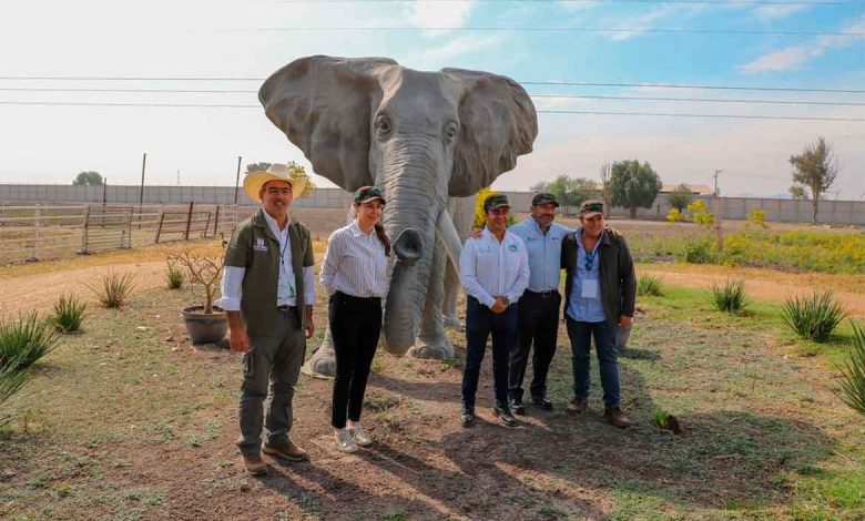 Proyectan reapertura del zoológico