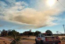 nube amarilla de RIAMA