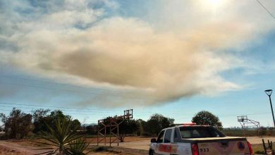 nube amarilla de RIAMA