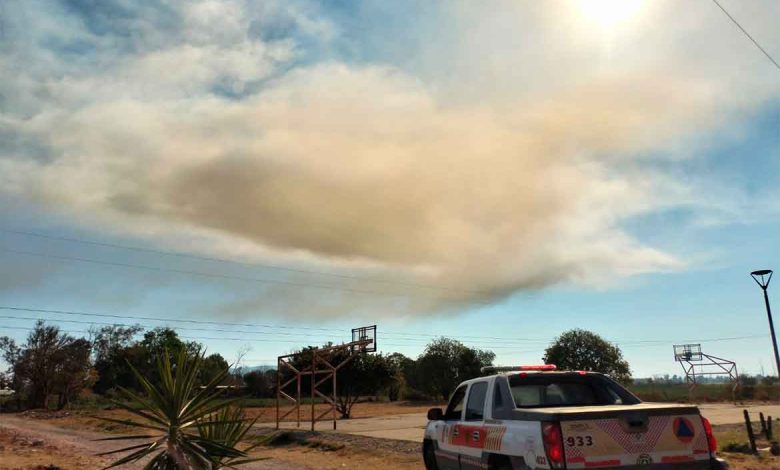 nube amarilla de RIAMA