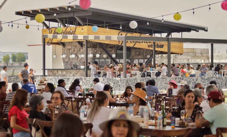 Bubbles Fest 2025 se vive en Viñedos Sala Vivé