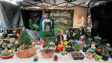 124 comerciantes participan en las festividades de Corpus Christi en Salamanca