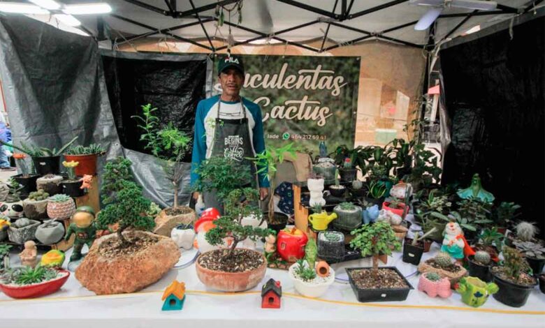 124 comerciantes participan en las festividades de Corpus Christi en Salamanca