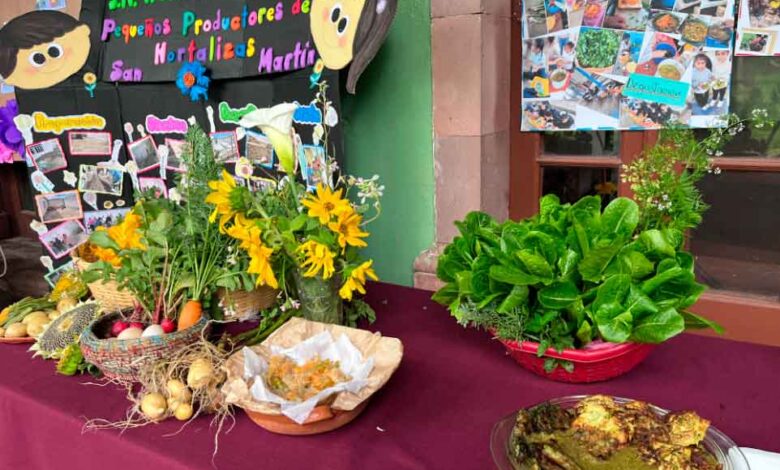 Presentan resultados del Proyecto