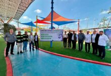 cciones para reforestación en la Ciudad Judicial Querétaro