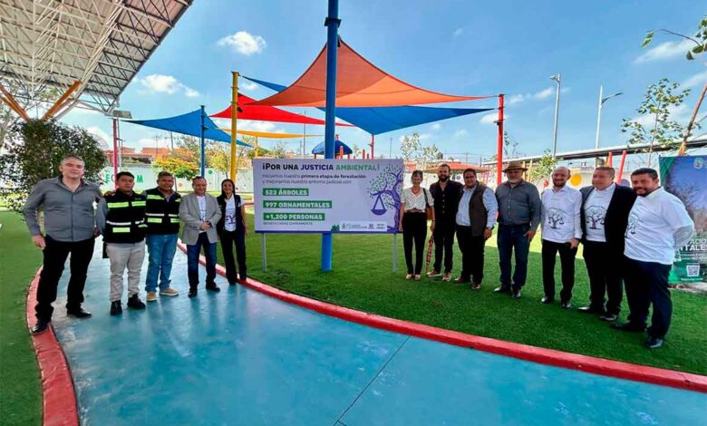 cciones para reforestación en la Ciudad Judicial Querétaro