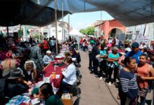 Anuncian renovación del Jardín Principal de Valtierrilla