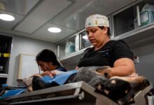 IMPA refuerza acciones de bienestar animal