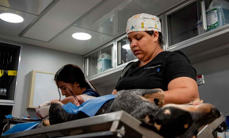 IMPA refuerza acciones de bienestar animal