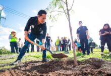Inicia jornada de reforestación en Corregidora