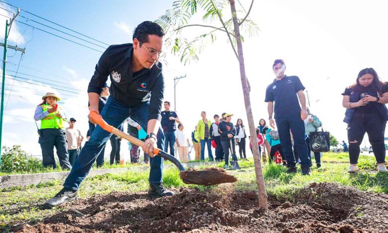 Inicia jornada de reforestación en Corregidora