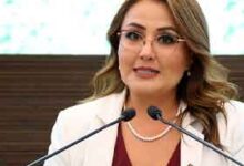 Dip. claudia Díaz Gayou