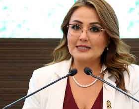 Dip. claudia Díaz Gayou
